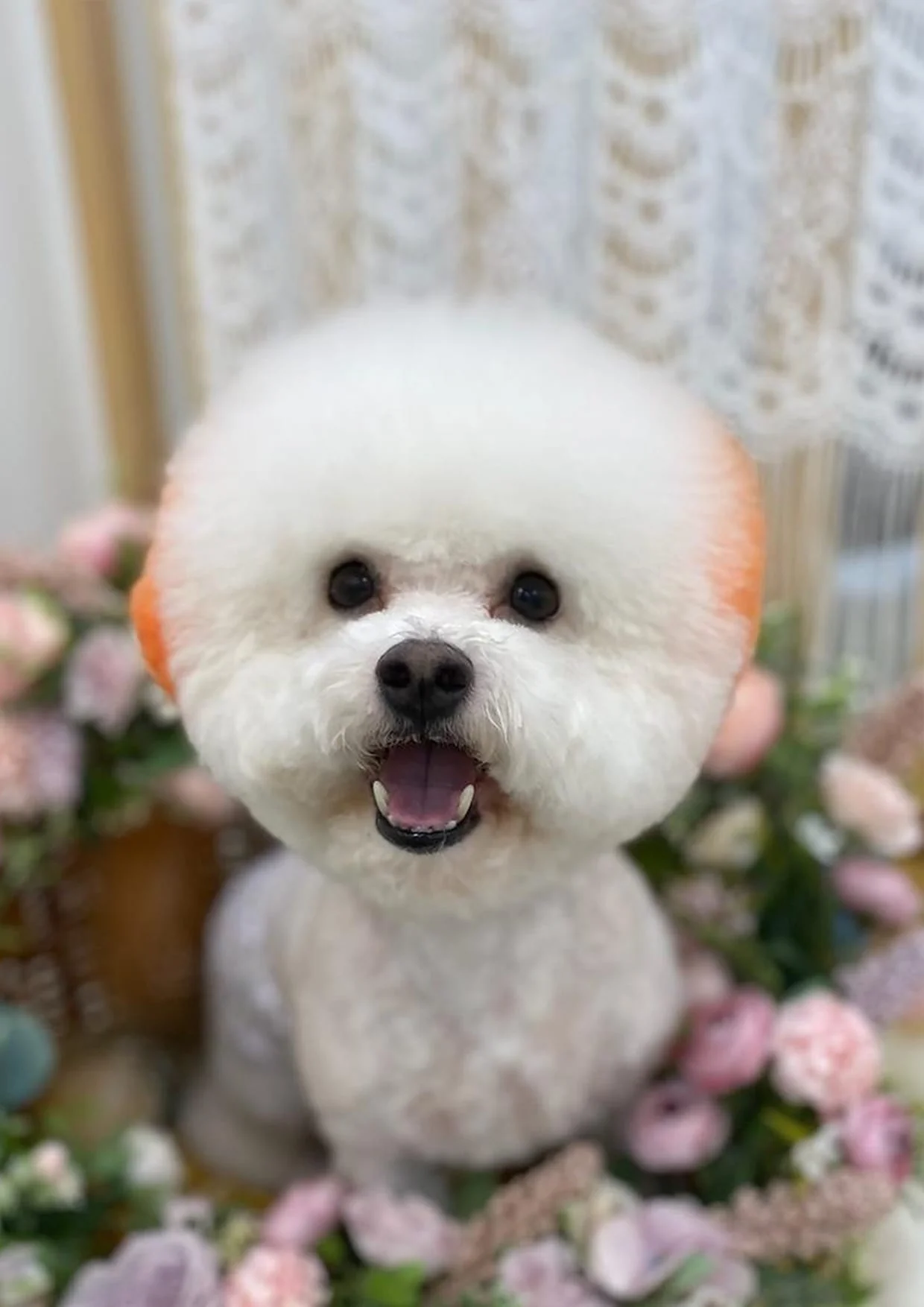 복원 전 원본 (예시)